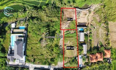 Tanah di jual di Mas ubud Bali - lingkungan villa