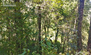 TERRENO CON MANANTIAL AREA BOSCOSA Y DE SIEMBRA
