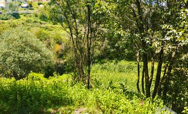 TERRENO CON MANANTIAL AREA BOSCOSA Y DE SIEMBRA
