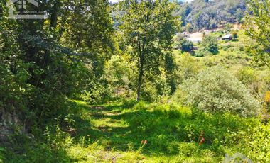 TERRENO CON MANANTIAL AREA BOSCOSA Y DE SIEMBRA