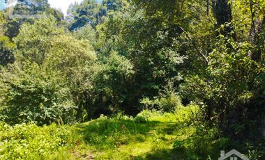 TERRENO CON MANANTIAL AREA BOSCOSA Y DE SIEMBRA