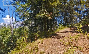 TERRENO CON MANANTIAL AREA BOSCOSA Y DE SIEMBRA