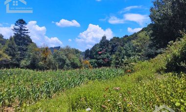 TERRENO CON MANANTIAL AREA BOSCOSA Y DE SIEMBRA