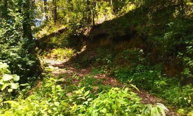 TERRENO CON MANANTIAL AREA BOSCOSA Y DE SIEMBRA