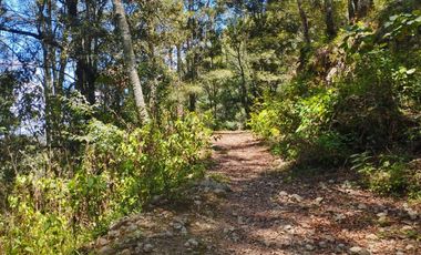 TERRENO CON MANANTIAL AREA BOSCOSA Y DE SIEMBRA