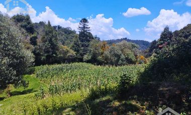 TERRENO CON MANANTIAL AREA BOSCOSA Y DE SIEMBRA
