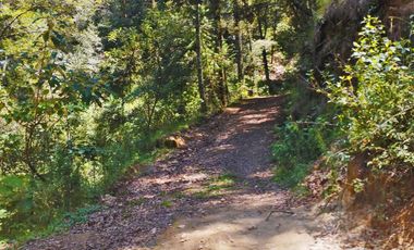 TERRENO CON MANANTIAL AREA BOSCOSA Y DE SIEMBRA