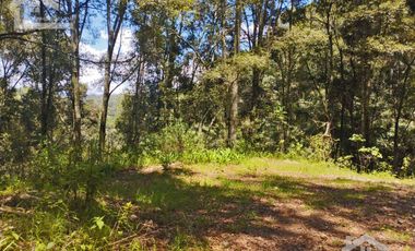 TERRENO CON MANANTIAL AREA BOSCOSA Y DE SIEMBRA