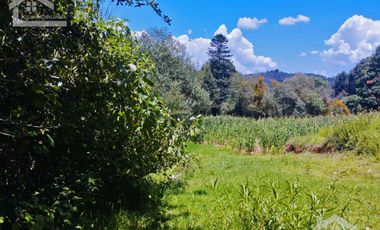 TERRENO CON MANANTIAL AREA BOSCOSA Y DE SIEMBRA