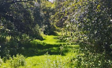 TERRENO CON MANANTIAL AREA BOSCOSA Y DE SIEMBRA