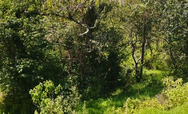 TERRENO CON MANANTIAL AREA BOSCOSA Y DE SIEMBRA