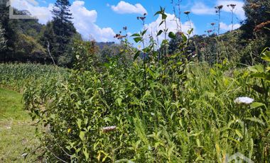TERRENO CON MANANTIAL AREA BOSCOSA Y DE SIEMBRA