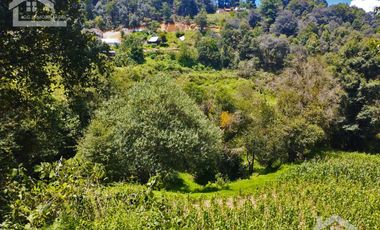 TERRENO CON MANANTIAL AREA BOSCOSA Y DE SIEMBRA