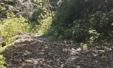 TERRENO CON MANANTIAL AREA BOSCOSA Y DE SIEMBRA