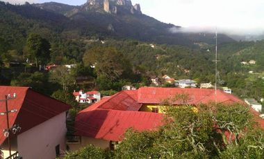 TERRENO CON MANANTIAL AREA BOSCOSA Y DE SIEMBRA