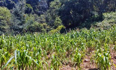 TERRENO CON MANANTIAL AREA BOSCOSA Y DE SIEMBRA