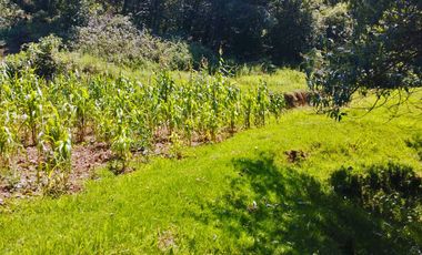 TERRENO CON MANANTIAL AREA BOSCOSA Y DE SIEMBRA