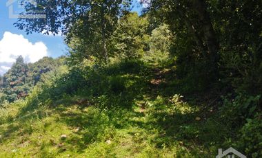 TERRENO CON MANANTIAL AREA BOSCOSA Y DE SIEMBRA