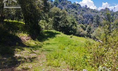 TERRENO CON MANANTIAL AREA BOSCOSA Y DE SIEMBRA