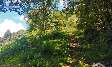 TERRENO CON MANANTIAL AREA BOSCOSA Y DE SIEMBRA