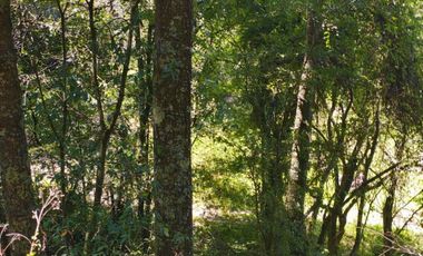 TERRENO CON MANANTIAL AREA BOSCOSA Y DE SIEMBRA