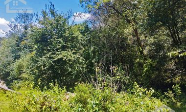 TERRENO CON MANANTIAL AREA BOSCOSA Y DE SIEMBRA