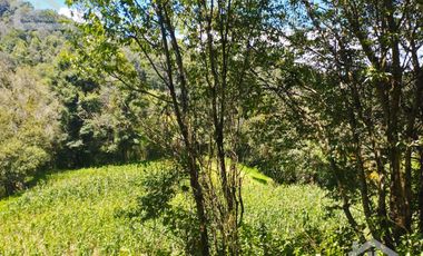 TERRENO CON MANANTIAL AREA BOSCOSA Y DE SIEMBRA