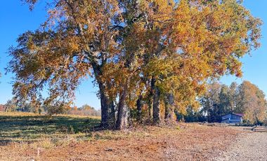 Parcela a orilla de camino k-08 Villarrica – Pucón a paso del Lago