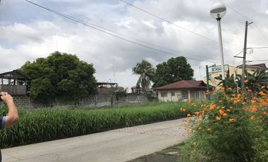RUSH SALE VERY LOW LOW PRICE PRIME RESIDENTIAL LOT INSIDE TOWN & COUNTRY HOMES DASMA CAVITE