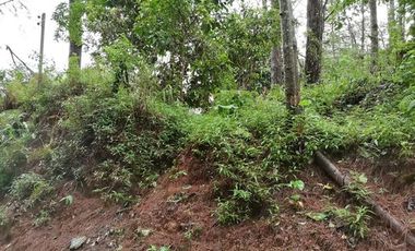 Residential Lot, Camp 7 Baguio City