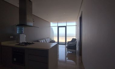 Apartamento en arriendo en Punta Roca.