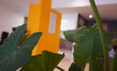 DEPARTAMENTO DE LUJO AMIRA CIMA DIAMANTE GRAN OFERTA!! 170 m2, 3 HAB