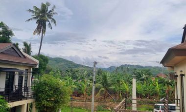 For Sale Fully Furnished 2 Storey Attached House in Naga City, Cebu