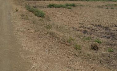 Terreno de Venta en Samborondón