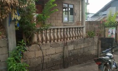 House and Lot  For Sale At Calle Rosario Coron Palawan