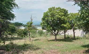 Propiedad en venta a borde de carretera, Miacatlán Morelos, Laguna El Rodeo.