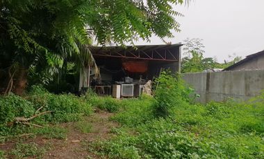 Palico Daanan, Mambog, Bacoor Cavite