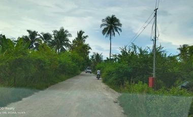 (READY TO BUILD)Chellibz Residences(LOT ONLY)Brgy. Saavedra, Moalboal, Cebu, Philipines
