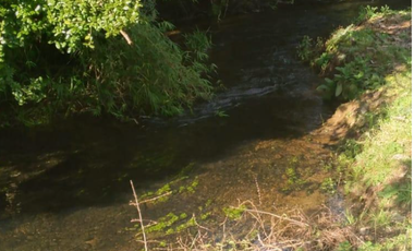 Amplia casa en parcela Sector Pichoy