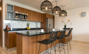 PENTHOUSE 2 RECAMARAS EN PLAYACAR