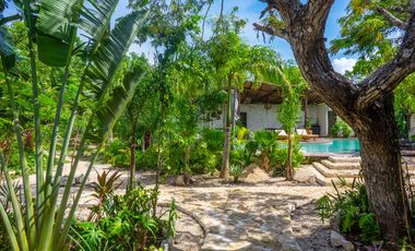 Gran oportunidad inversores. Lindos departamentos en la selva. Akumal.