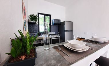 Gran oportunidad inversores. Lindos departamentos en la selva. Akumal.