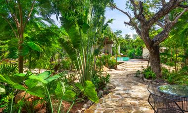 Gran oportunidad inversores. Lindos departamentos en la selva. Akumal.