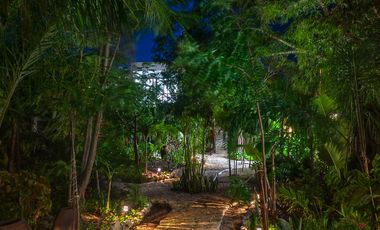 Gran oportunidad inversores. Lindos departamentos en la selva. Akumal.