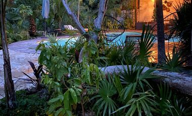 Gran oportunidad inversores. Lindos departamentos en la selva. Akumal.