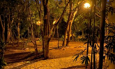 Gran oportunidad inversores. Lindos departamentos en la selva. Akumal.