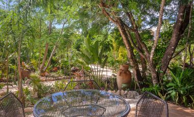 Gran oportunidad inversores. Lindos departamentos en la selva. Akumal.