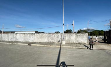 Lot for Sale in Mindanao Ave 4,689 sqm