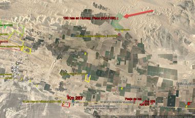 Terreno en Pisco, 180 hectareas (ICA 1158)