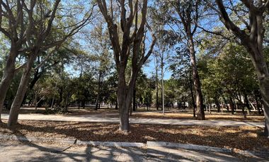 DEPARTAMENTOS EN RENTA EN CHAPALITA, NUEVOS.